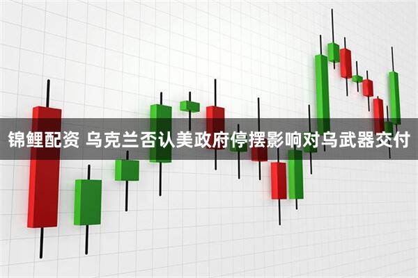 锦鲤配资 乌克兰否认美政府停摆影响对乌武器交付
