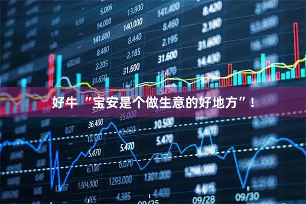 好牛 “宝安是个做生意的好地方”！