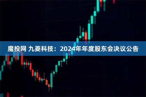 魔投网 九菱科技：2024年年度股东会决议公告