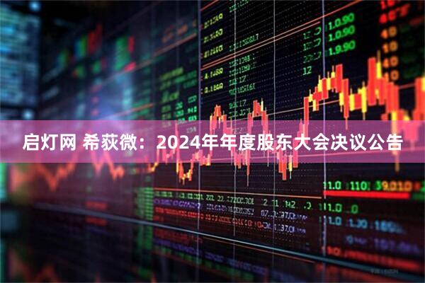 启灯网 希荻微：2024年年度股东大会决议公告